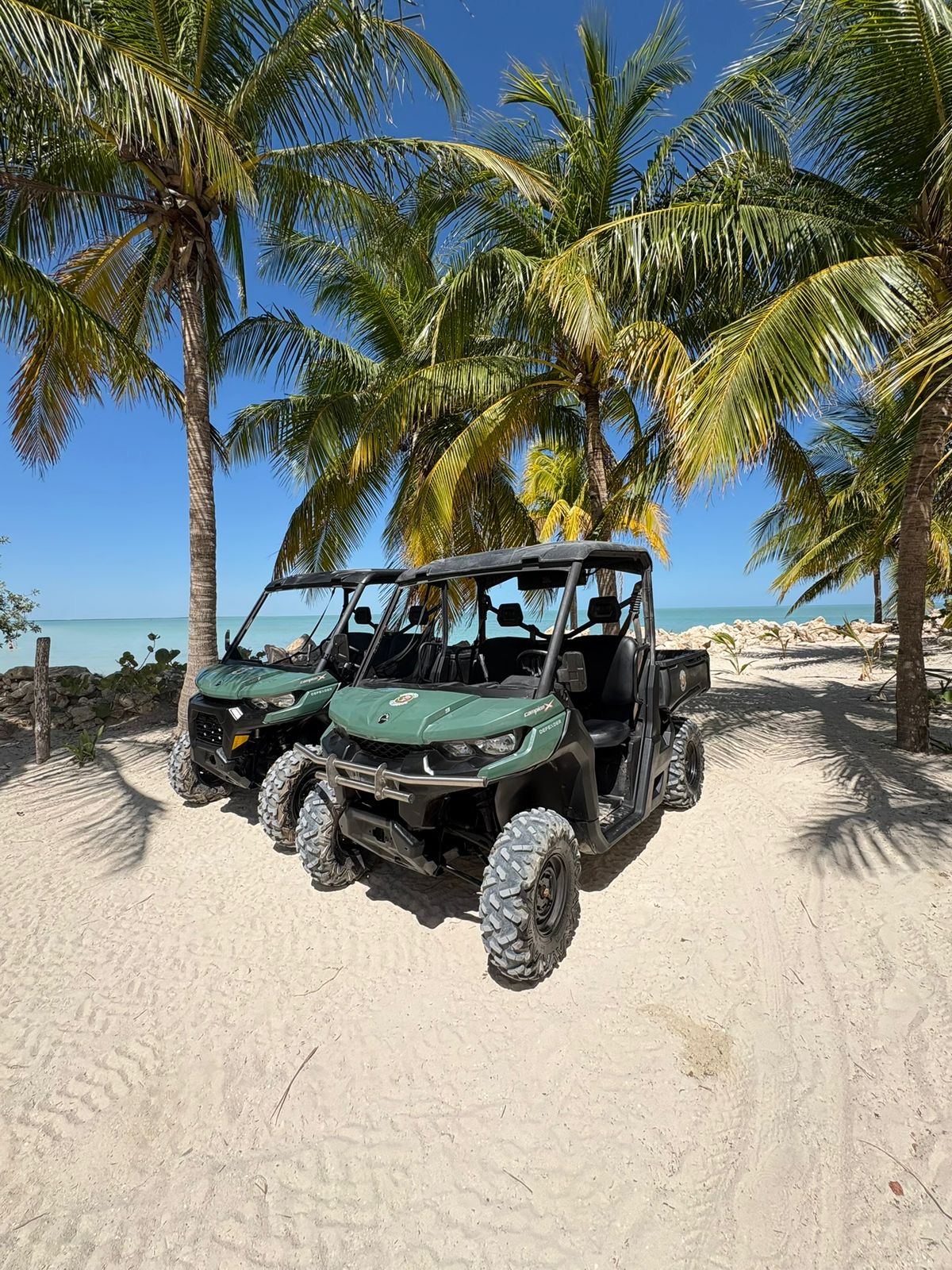 Renta de ATV & UTV 3