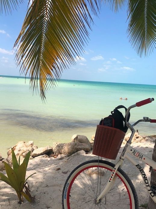 Renta de Bicicletas 1