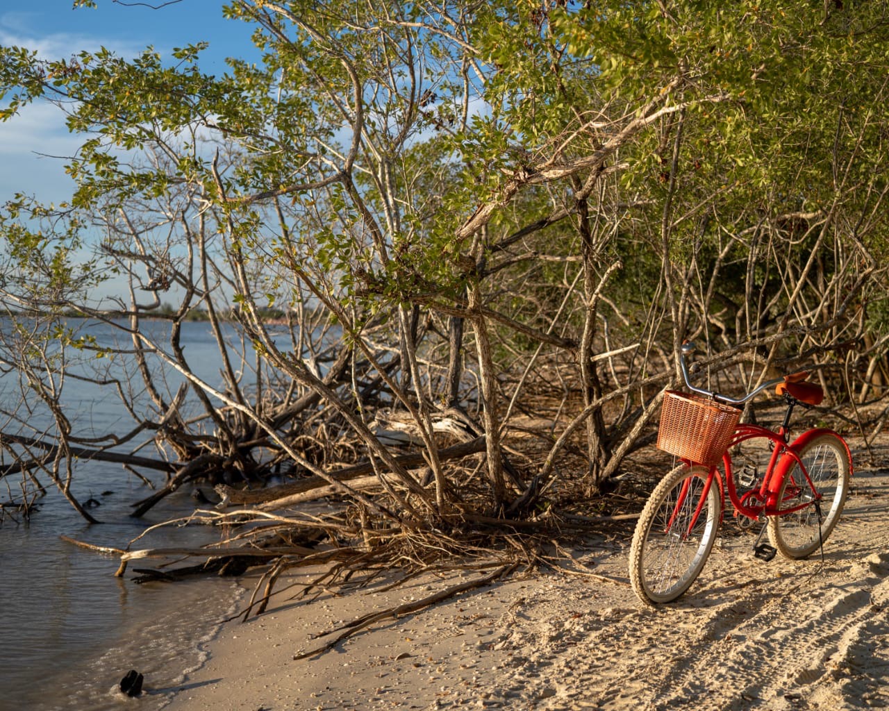 Renta de Bicicletas 2