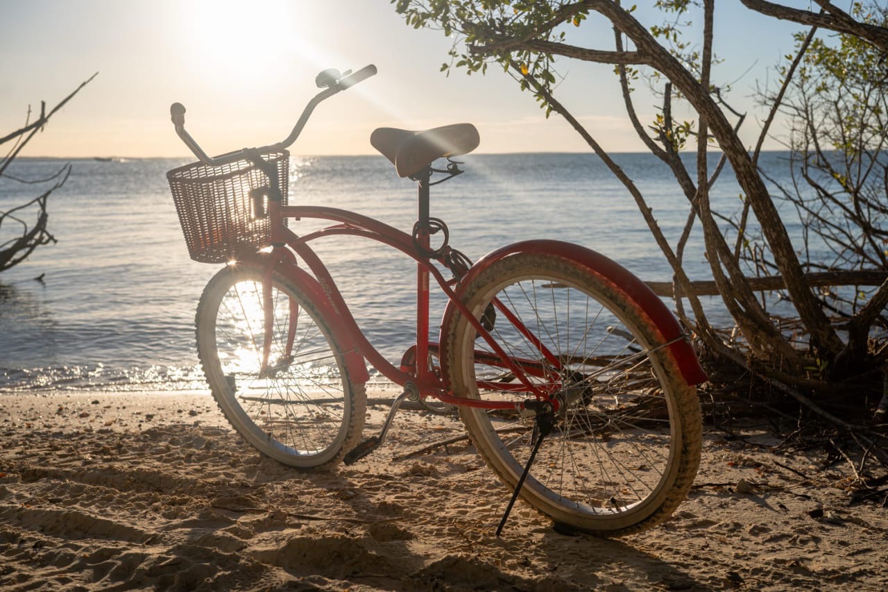 Renta de Bicicletas 3