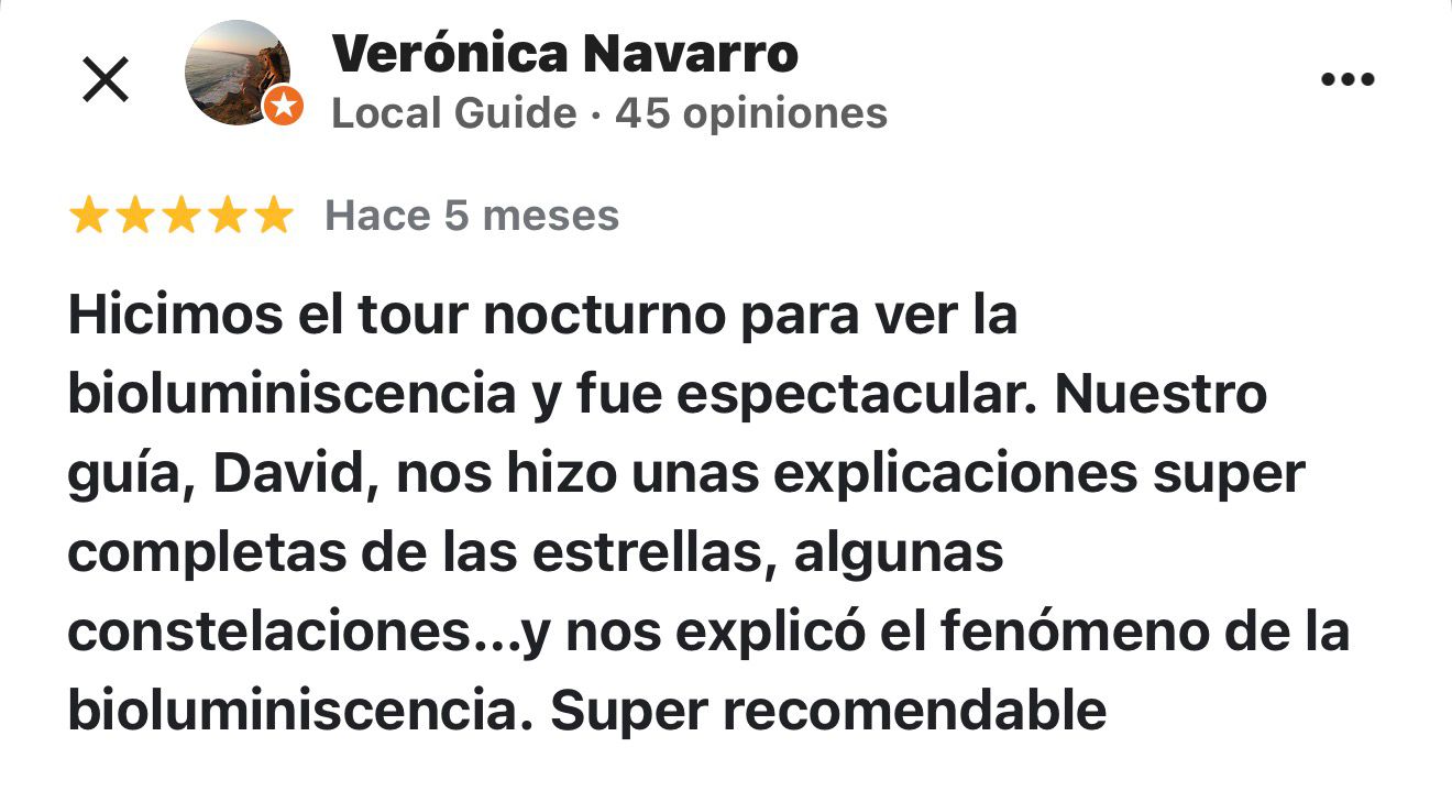 Review 5