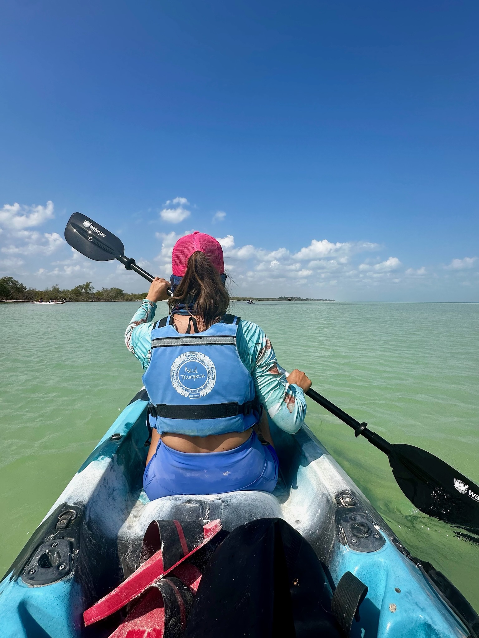 Kayak en Manglares 2